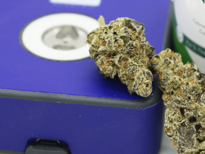 04a_academyDrugChecking_720x540